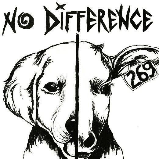 No difference — todas las vidas importan